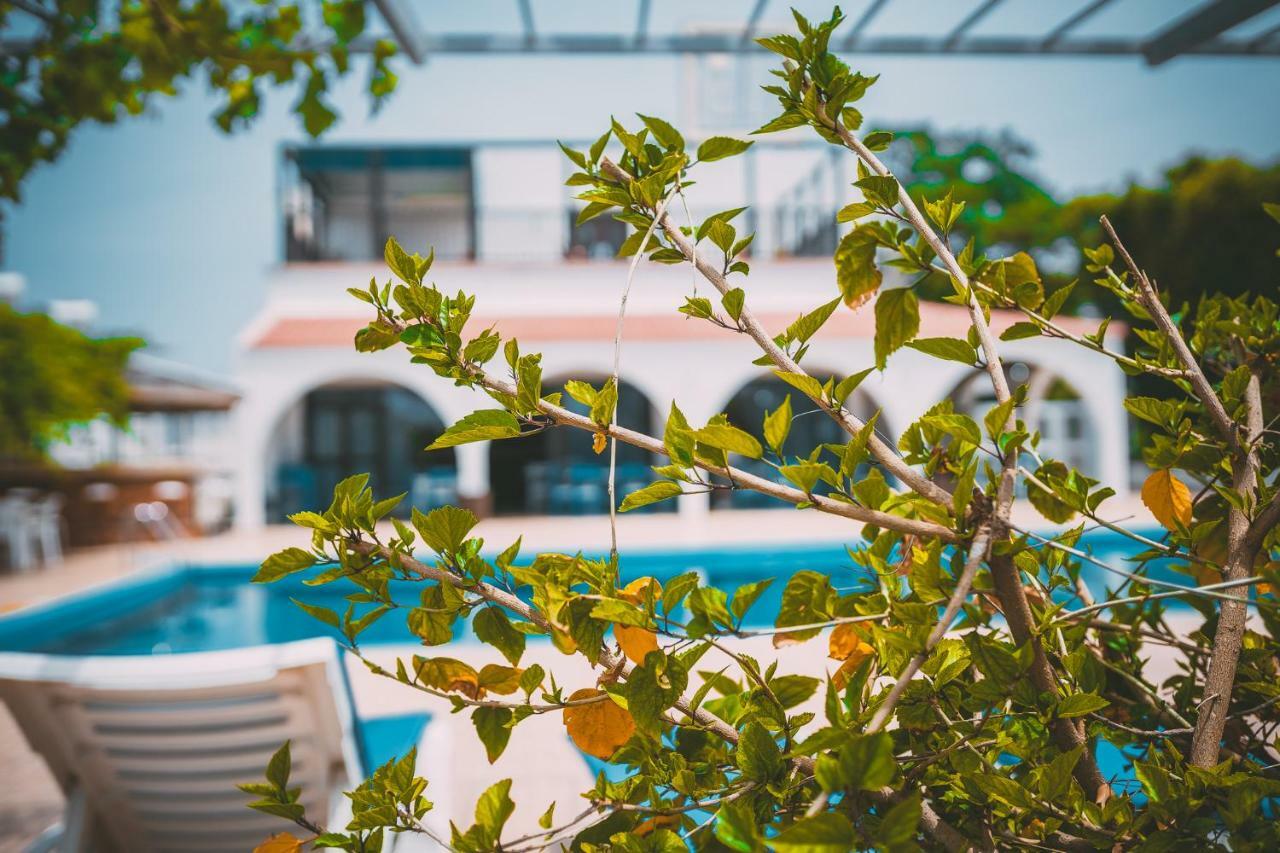 Chrysland Apartment ไอยานาปา ภายนอก รูปภาพ