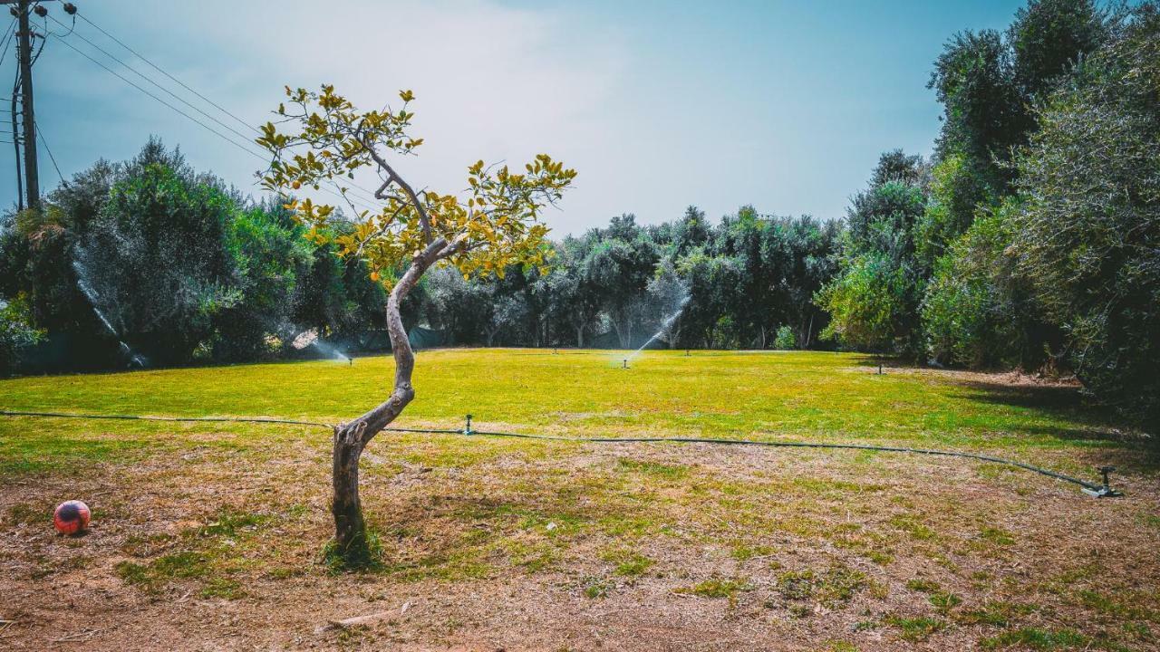 Chrysland Apartment ไอยานาปา ภายนอก รูปภาพ